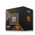 AMD Ryzen 5 9600