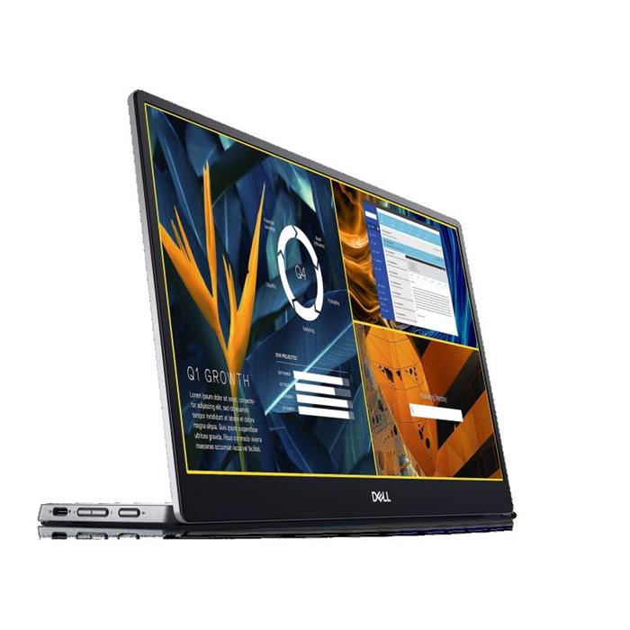 Dell P1424H