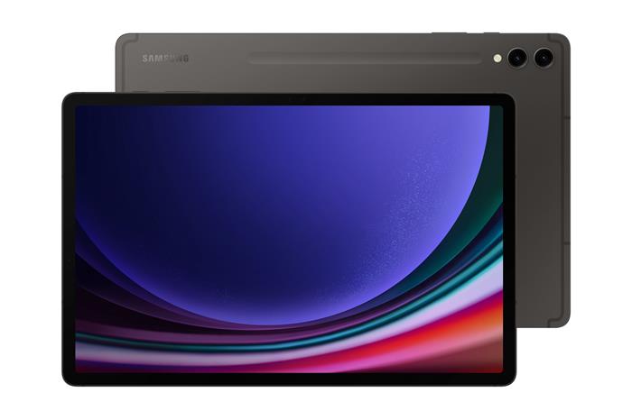 Samsung GalaxyTab S9+ SM-X816 5G 512GB Gray